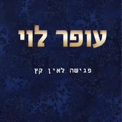 פגישה לאין קץ