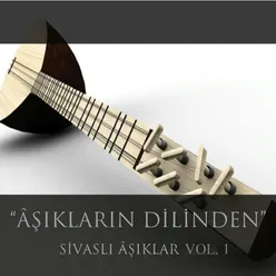 Âşıkların Dilinden Sivaslı Âşıklar Vol.1