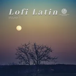 Lofi Latin