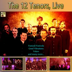 The 12 Tenors (Live)