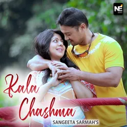 Kala Chashma - Single