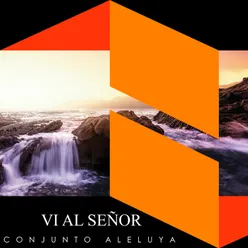 Vi al Señor