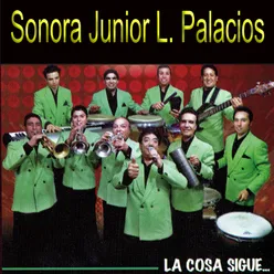 Sonora Junior L. Palacios
