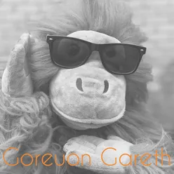 Gareth Yr Orangutan
