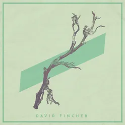 David Fincher-Live Session