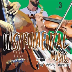 Instrumental Music for Every Moment, Vol. 3