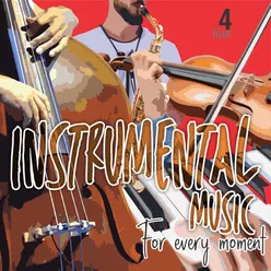 Instrumental Music for Every Moment, Vol. 4