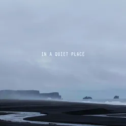 In a Quiet Place, Music from the Listen Project Vol 1