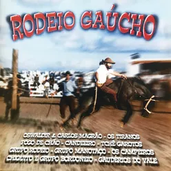 Rodeio Gaúcho, Vol. 1