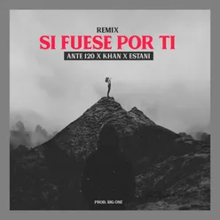 Si Fuese por Ti - Remix