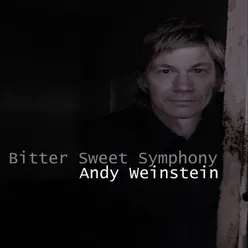 Bitter Sweet Symphony (Radio Version)