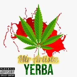 Yerba