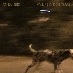 My Life in Dog Years