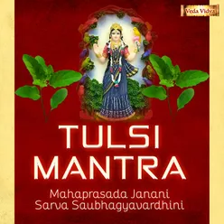 Tulsi Mantra (Mahaprasada Janani Sarva Saubhagyavardhini)