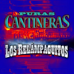 Puras Cantineras