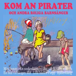 Lilla hästen Plopp