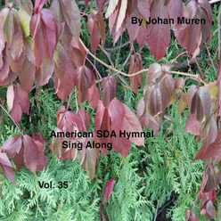 American Sda Hymnal Sing Along Vol.35