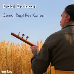 Dizden Kırma-Enstrümantal