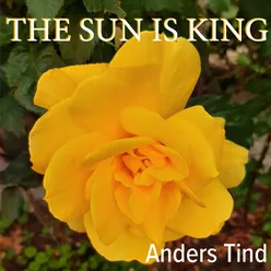 The Sun is King