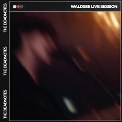 Waldsee Live Session