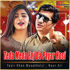 Teda Meda Enj da Payar Hosi - Single