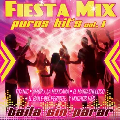 Fiesta Mix Vol. 1