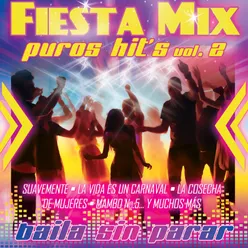 Fiesta Mix Vol. 2