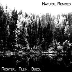 Antinatural Mix (Richter)
