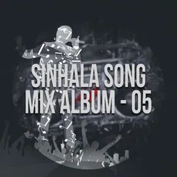 Sinhala Song Mix Album, Vol. 05