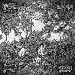 Oxalate / Perpetuated / Blood Spore / Vivisect