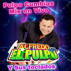 Pulpo Cumbias Mix (En Vivo)