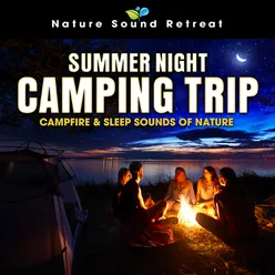 Campfire with Relaxing Stream Water Sound, Cicadas and Delta Waves for Relaxation