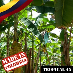 Made In Colombia: Tropical, Vol. 45