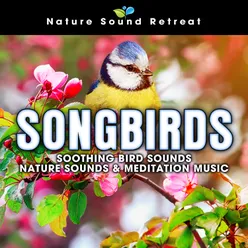 Birds Singing on a Breezy Day with Delta Waves for Relaxation