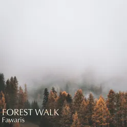 Forest Walk