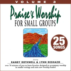 Praise & Worship for Small Groups, Vol. 3 (Whole Hearted Worship)