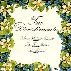 Divertimento Brillante, Op. 29: Allegro Con Spirito