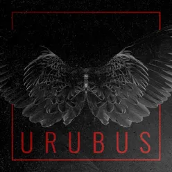 Urubus