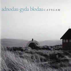 Adnodau Gyda Blodau