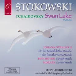 Swan Lake Op. 20, Act II No. 10: Scène