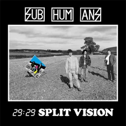 29: 29 Split Vision