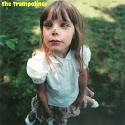 The Trampolines