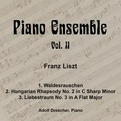 Hungarian Rhapsody No. 2 in C-Sharp Minor, S. 244