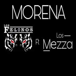 Morena-2020