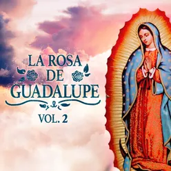 La Rosa de Guadalupe Vol. 2