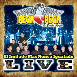 Amor Fingido-Live