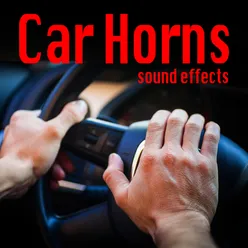 Pontiac Transam Frontier Car Horn