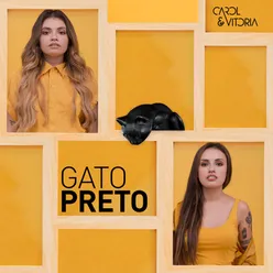 Gato Preto