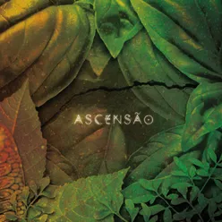 Ascensão