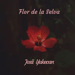 Flor de la Selva